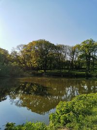 Scenic view of lake against clear sky