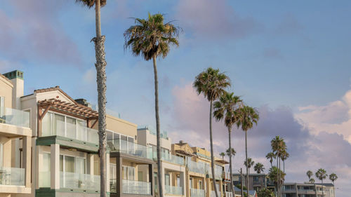Low angle view of palm trees against sky