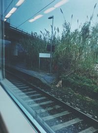 Railroad tracks by plants against sky