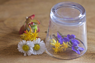 Close-up of flowers in glass jar on table