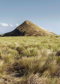 Scenic view of land against clear sky