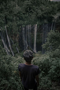 Rear view of man looking at waterfall in forest