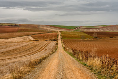 Landscape from a path along the camino de santiago.