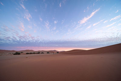 Sunset in sossusvlei 