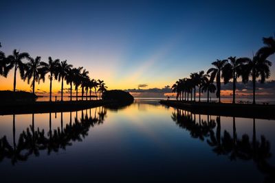 Silhouette palm trees reflecting on sea during sunset