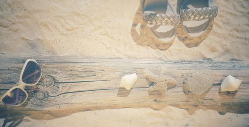 High angle view of shells on table