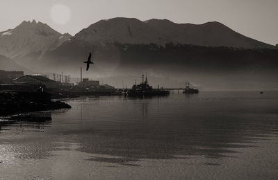 Silhouette cranes by sea against sky during sunset