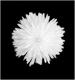 Close-up of over black background