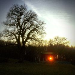 Silhouette bare trees against sky