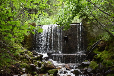 Scenic view of waterfall in forest
