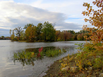 Scenic view of lake by trees against sky