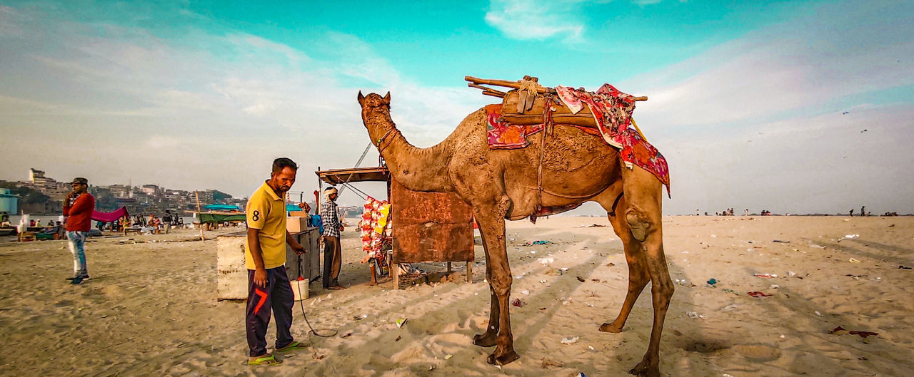 PANORAMIC VIEW OF PEOPLE ON DESERT