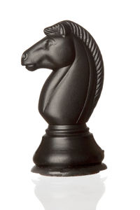 Close-up of chess pieces against white background