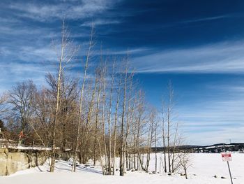 Bare trees on snow covered field against sky