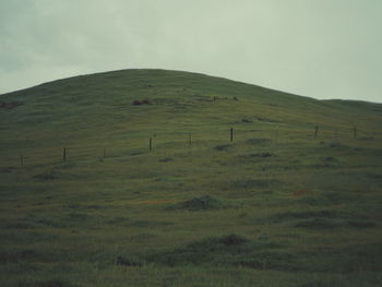 Scenic view of grassy field against sky