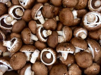 Full frame shot of mushrooms 