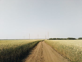 Dirt road amidst crops against clear sky