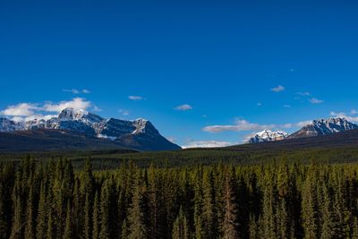 Scenic view of snowcapped mountains against blue sky