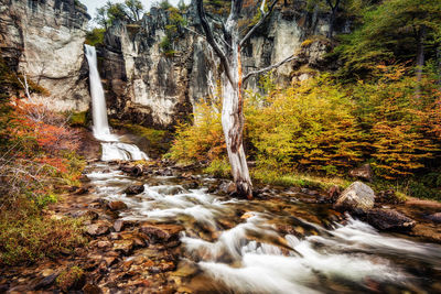 Stream flowing through rocks in forest