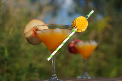 Two orange peach cocktails in glass with ice cubes and straw on brown table