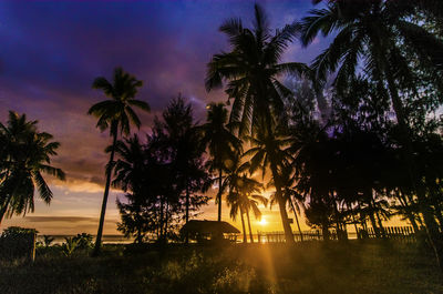 Silhouette palm trees against sky during sunset