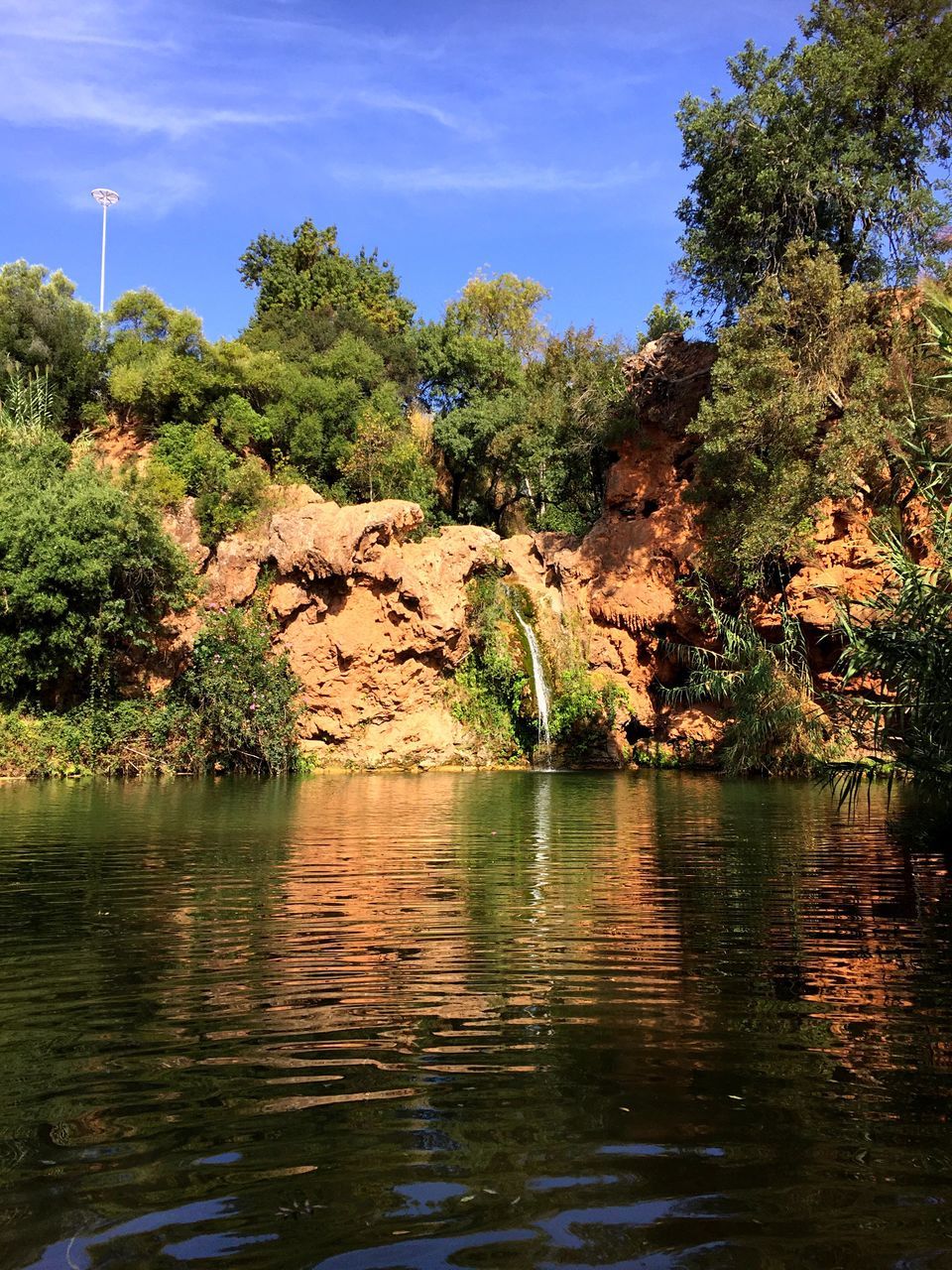 tree, water, plant, tranquility, beauty in nature, tranquil scene, sky, scenics - nature, lake, waterfront, nature, reflection, growth, no people, day, non-urban scene, landscape, environment, outdoors