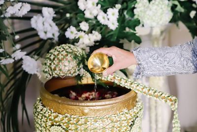 Close-up of hand holding white flowers