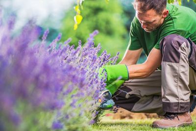 Mid adult man picking flowers in garden