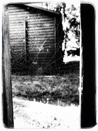 Close-up of broken spider web on window