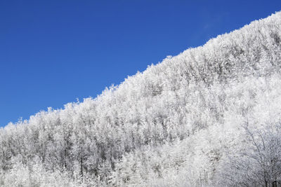 Low angle view of snow covered field against clear blue sky
