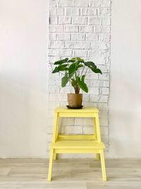 Potted plant against wall