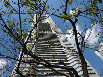 Low angle view of tree and building against sky