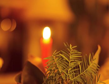 Close-up of illuminated candles