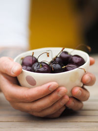 Woman holding bowl of fresh picked sweet cherries, top view.
