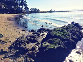 Birds perching on rock by sea against sky