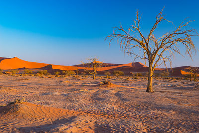 Scenic view of desert against clear blue sky