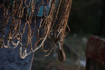 Close-up of fishing net hanging on rope