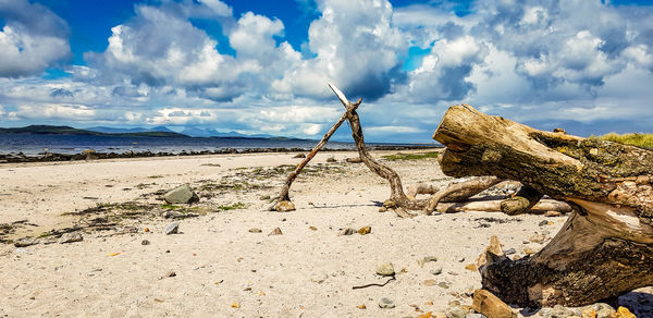 Panoramic view of driftwood on beach against sky