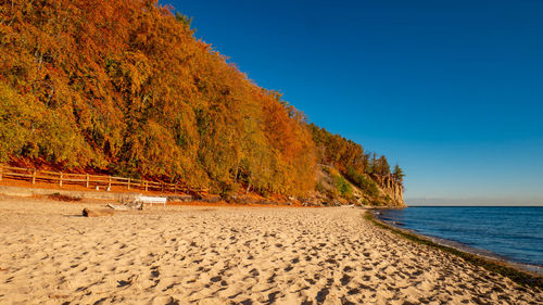 Scenic view of beach against clear blue sky