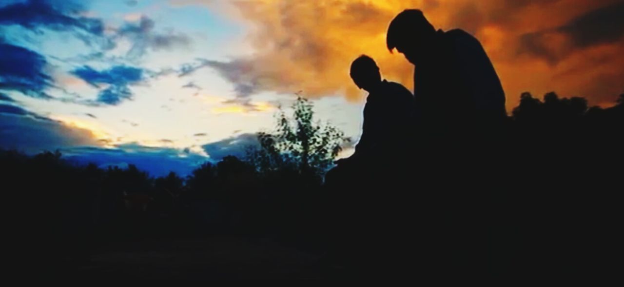 SILHOUETTE OF TREES AT SUNSET