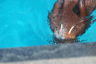 Close-up of water against blue sky