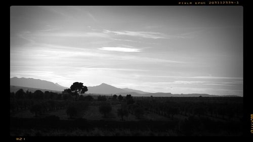 Scenic view of landscape against sky