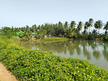 Scenic view of lake against clear sky