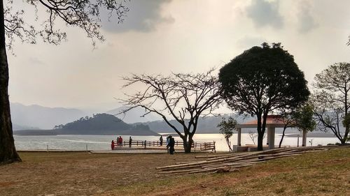 Trees on beach against sky