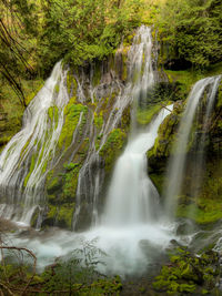 Springtime at panther creek falls in the lush gifford pinchot forest near carson, washington