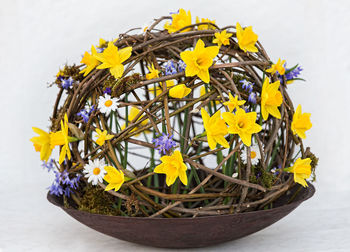 Close-up of yellow flowering plant on table