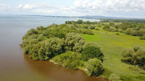 High angle view of trees on sea against sky