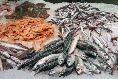 Fresh fish and shrimps for sale at a market in barcelona, spain