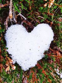 High angle view of heart shape on snow