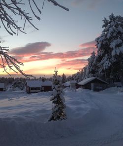 Scenic view of snow covered field against sky during sunset